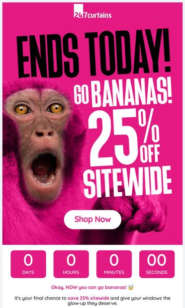 FINAL HOURS: 25% OFF sitewide! ๐จ - email from 247 Curtains