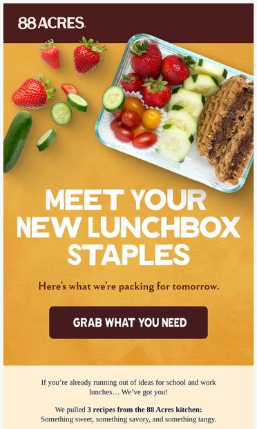 3 New Lunchbox Recipes 🥪🌿 - email from 88 Acres