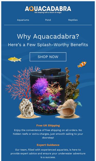 Experience Aquacadabra's 5-Star Service ⭐ - email from Aquacadabra