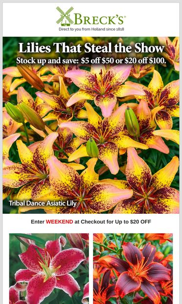 Last chance: up to $20 off ends tomorrow - email from Breck's