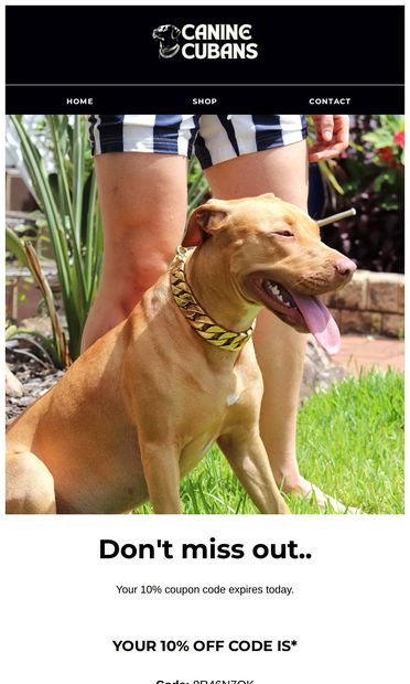 Hey - You are going to miss out on this! - email from Canine Cubans