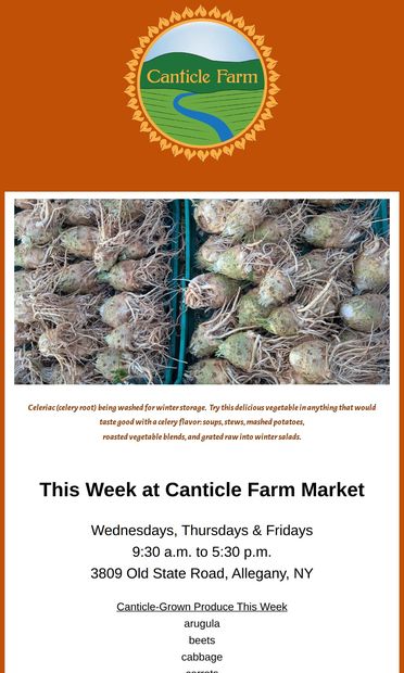 this week at the market: cabbage, celeriac & the first fall cauliflower - email from Canticle Farm