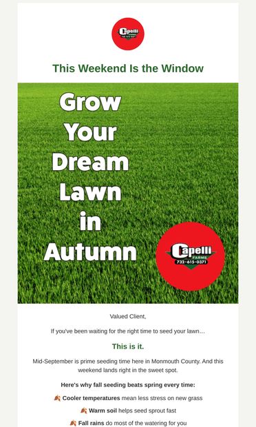 Perfect seeding weekend + 20% off seed - email from Capelli's