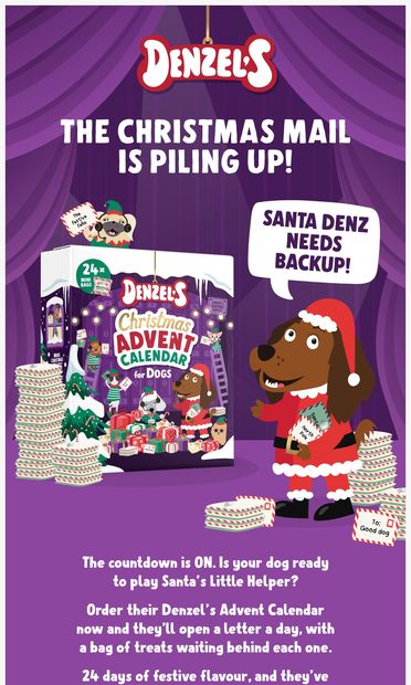 SOS from the North Pole  📬🎁 - email from Denzel's
