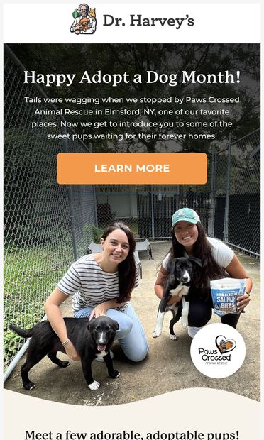 It’s  Adopt a Dog Month! - email from Dr. Harvey's