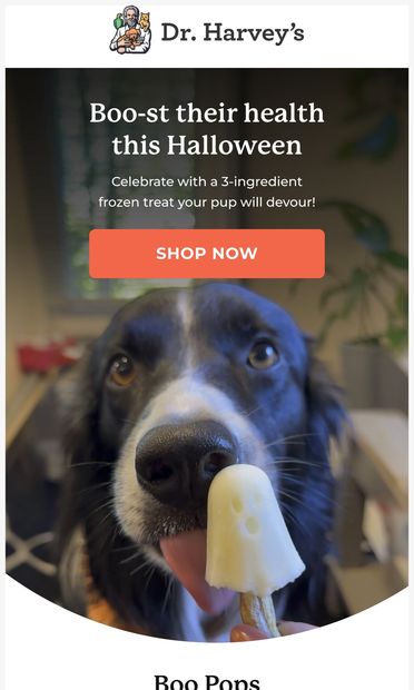 A spooky season recipe your pup will love  👻 - email from Dr. Harvey's