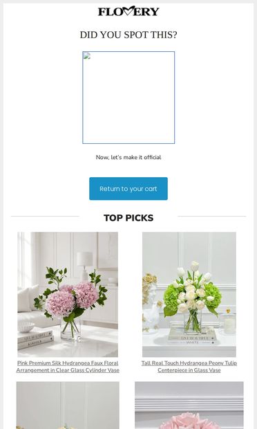 Did you see something you  liked?👍 - email from Flovery