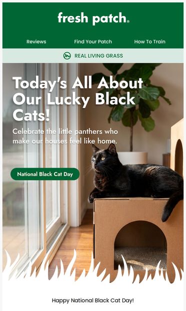 The Luckiest Cat Parents Have Black Cats  🖤 - email from Fresh Patch
