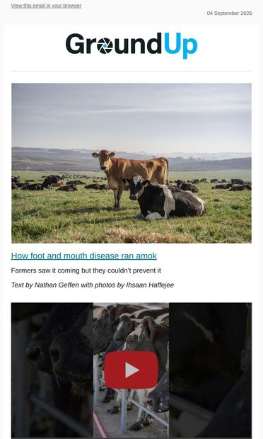 Farmers saw it coming: How foot and mouth disease ran amok - email from GroundUp