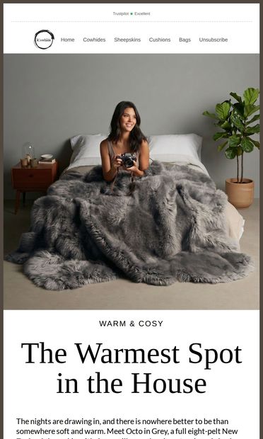 Warm and cosy: the Grey Octo, made for the bed - email from iCowhide