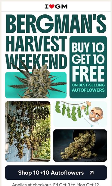 🌱 Grab New 10+10 Autoflower Deals Now! - email from ILGM.com