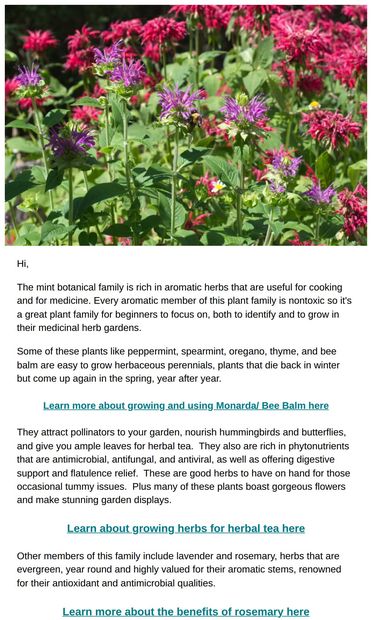Many culinary and medicinal herbs are in the mint family and can be
 beneficial additions to your garden - email from Joybilee Farm