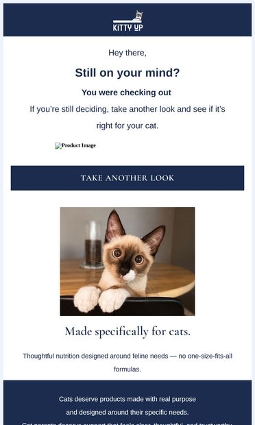 Your cat called. They want you to go back. 🐾 - email from Kitty Up