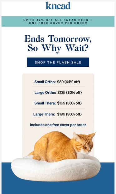 Flash Sale Ends Tomorrow - email from Knead