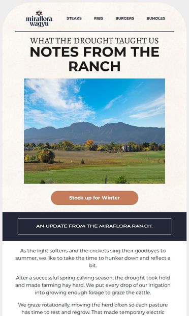 Notes from the Ranch - email from Miraflora Wagyu