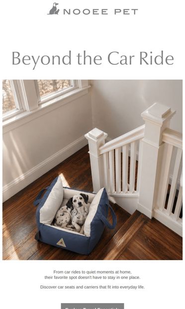 Their favorite spot, beyond the car - email from Nooee Pet