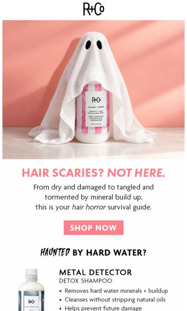 What's haunting your hair? - email from R+Co