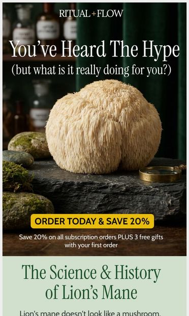 Lion's Mane: the most talked-about thing on our label - email from Ritual and Flow