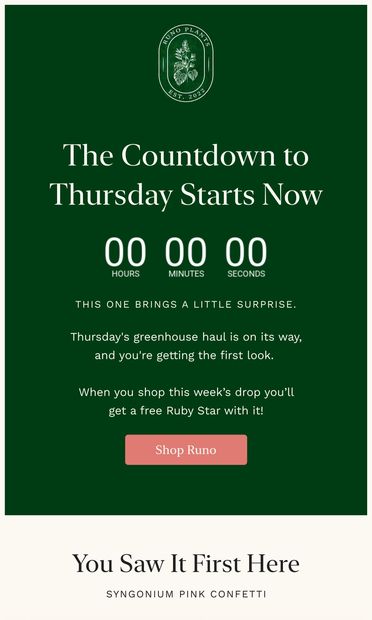 Drum roll please... - email from Runo Plants
