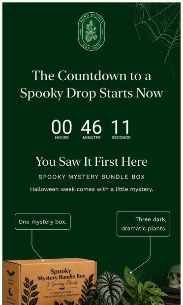 Drum roll please... - email from Runo Plants