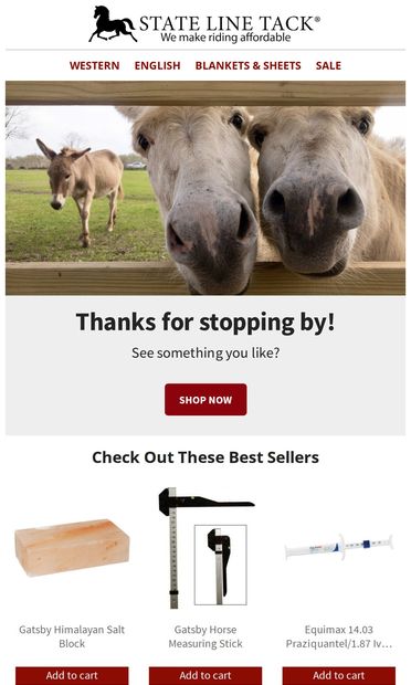 We noticed you checking us out… - email from State Line Tack