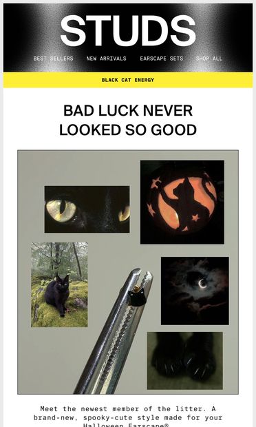 JUST IN: The Black Cat Earring 🐈⬛ - email from Studs