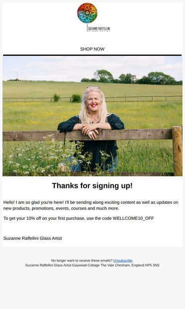 Thanks and Discount Code! - email from Suzanne Raffellini