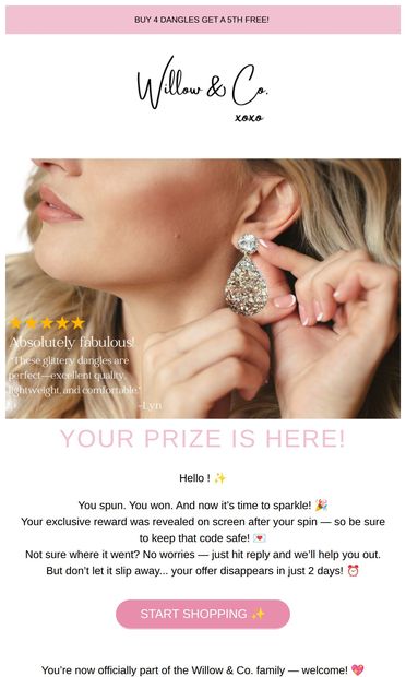 You spun. You won. Now don’t forget your sparkle ✨ - email from Willow & Co.